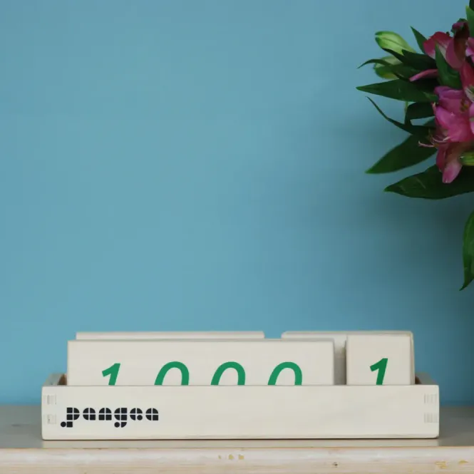 Hovedbilde Pangea tallkort 1-9999
